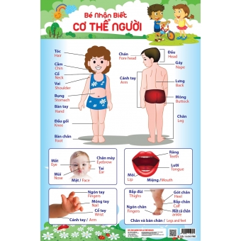 Bé nhận biết cơ thể người 