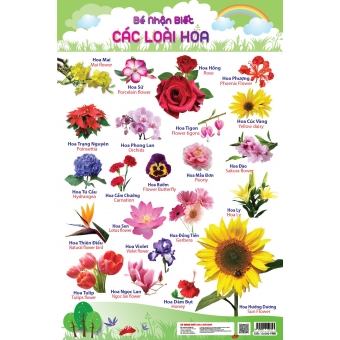 Bé nhận biết các loài hoa 